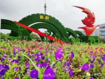 上海松江这里的花坛、花境“上新”啦!特色景观升级!